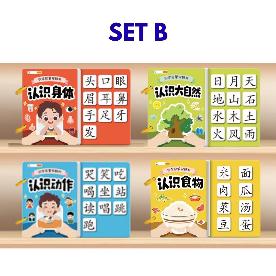 Chinese Quiet / Busy Book (4 pcs. ringbound busy books in 1 set) Numbers, Colors, Family, Animals, Food, Body, Action, Nature