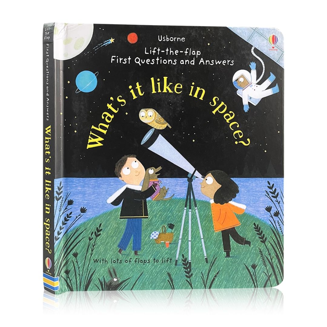 Usborne WHAT IS IT LIKE IN SPACE? (Lift-the-flap First Questions and Answers) BOARD BOOK