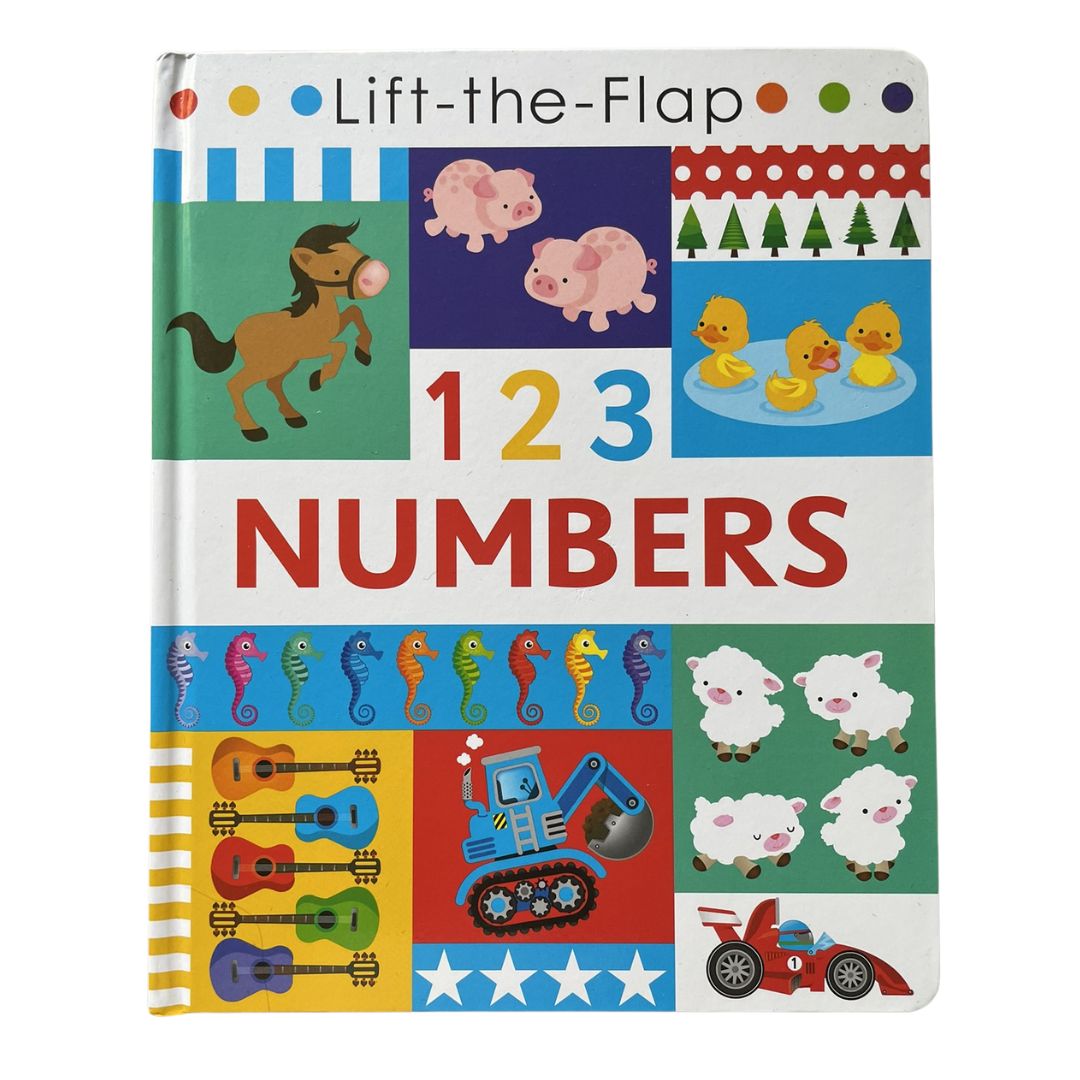 Lift-the-flap 123 NUMBERS Activity Book (brand new Hardcover, with SLIGHT DENTS on book cover)