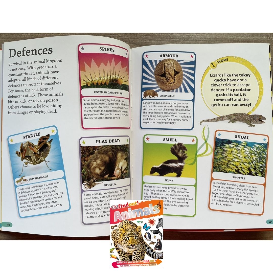 DK Findout! (SINGLES) Ancient Egypt Animals Big Cats Birds Castles Coding Energy Engineering Pirates Science Space Travel Universe Vikings Volcanoes