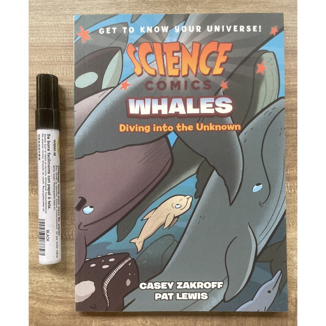 Science Comics (6 books, softcover, no box) (Rocks and Minerals / Spiders / The Digestive System / Whales / Bridges / Birds of Prey)