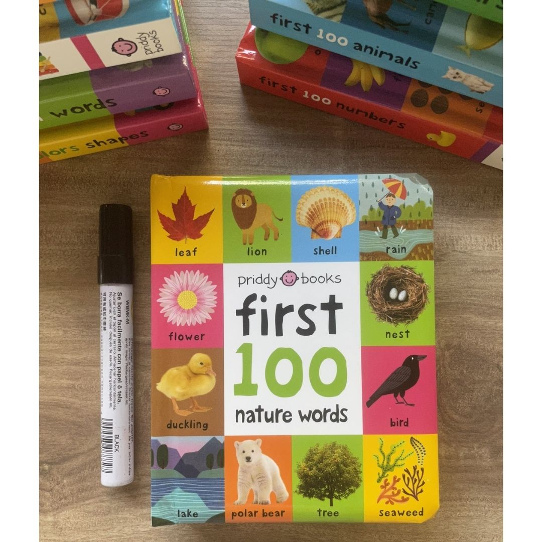 Priddy's First 100 Series (Singles, MINI board book)