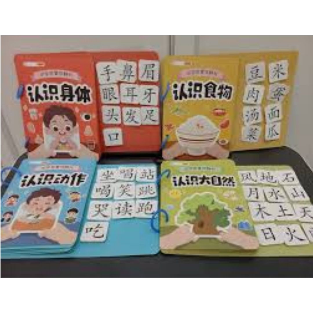 Chinese Quiet / Busy Book (4 pcs. ringbound busy books in 1 set) Numbers, Colors, Family, Animals, Food, Body, Action, Nature