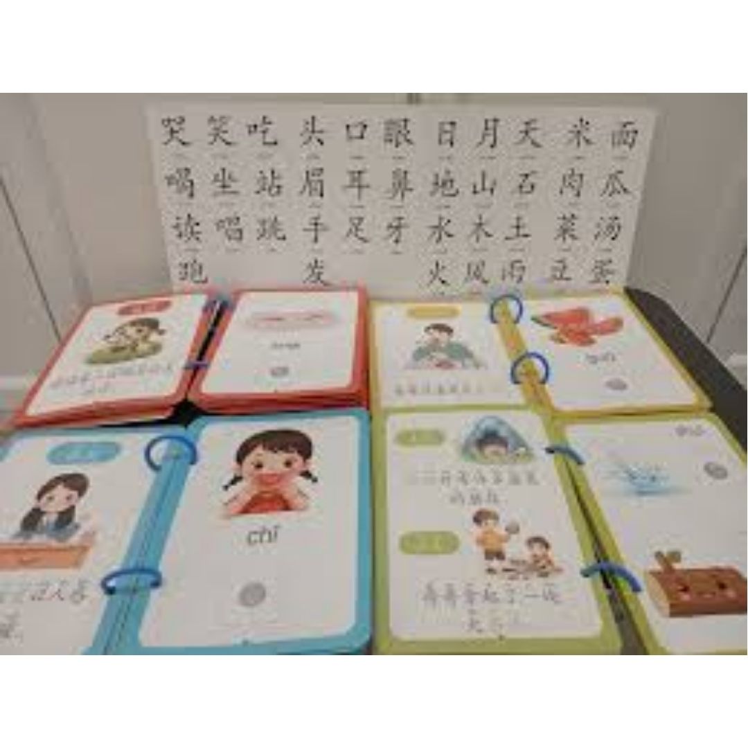 Chinese Quiet / Busy Book (4 pcs. ringbound busy books in 1 set) Numbers, Colors, Family, Animals, Food, Body, Action, Nature