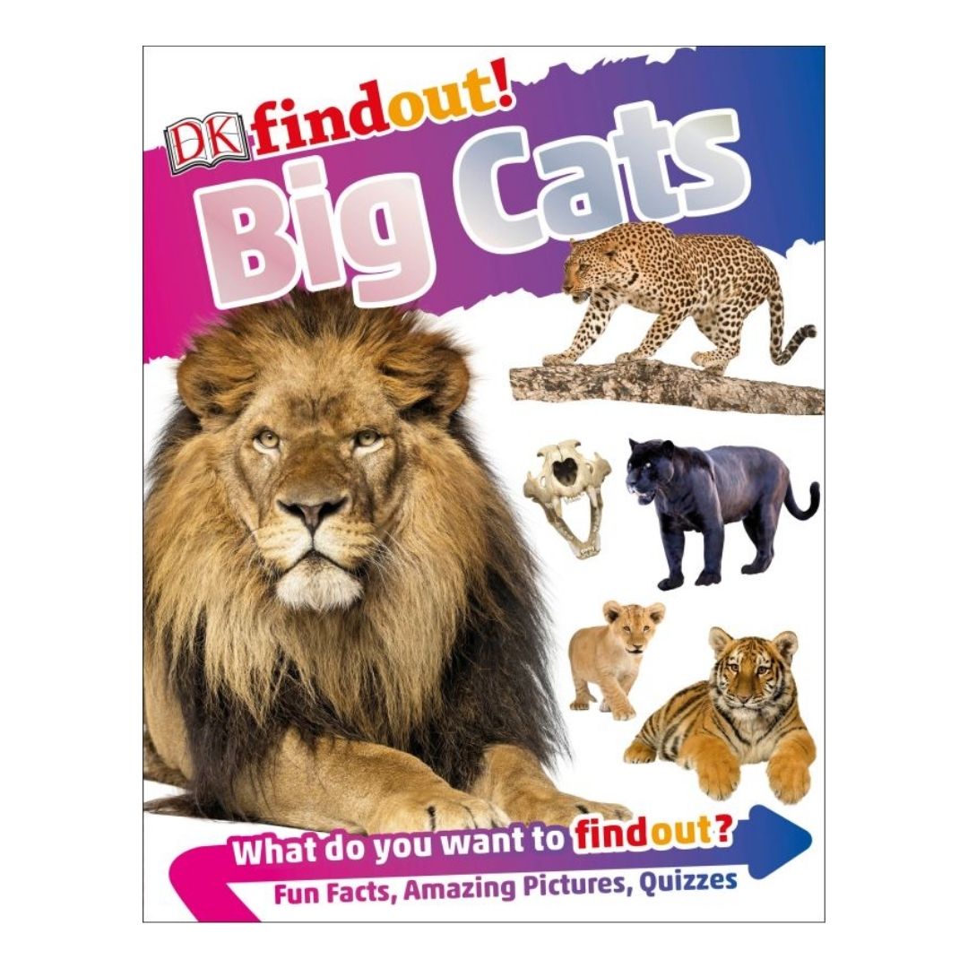 DK Findout! (SINGLES) Ancient Egypt Animals Big Cats Birds Castles Coding Energy Engineering Pirates Science Space Travel Universe Vikings Volcanoes