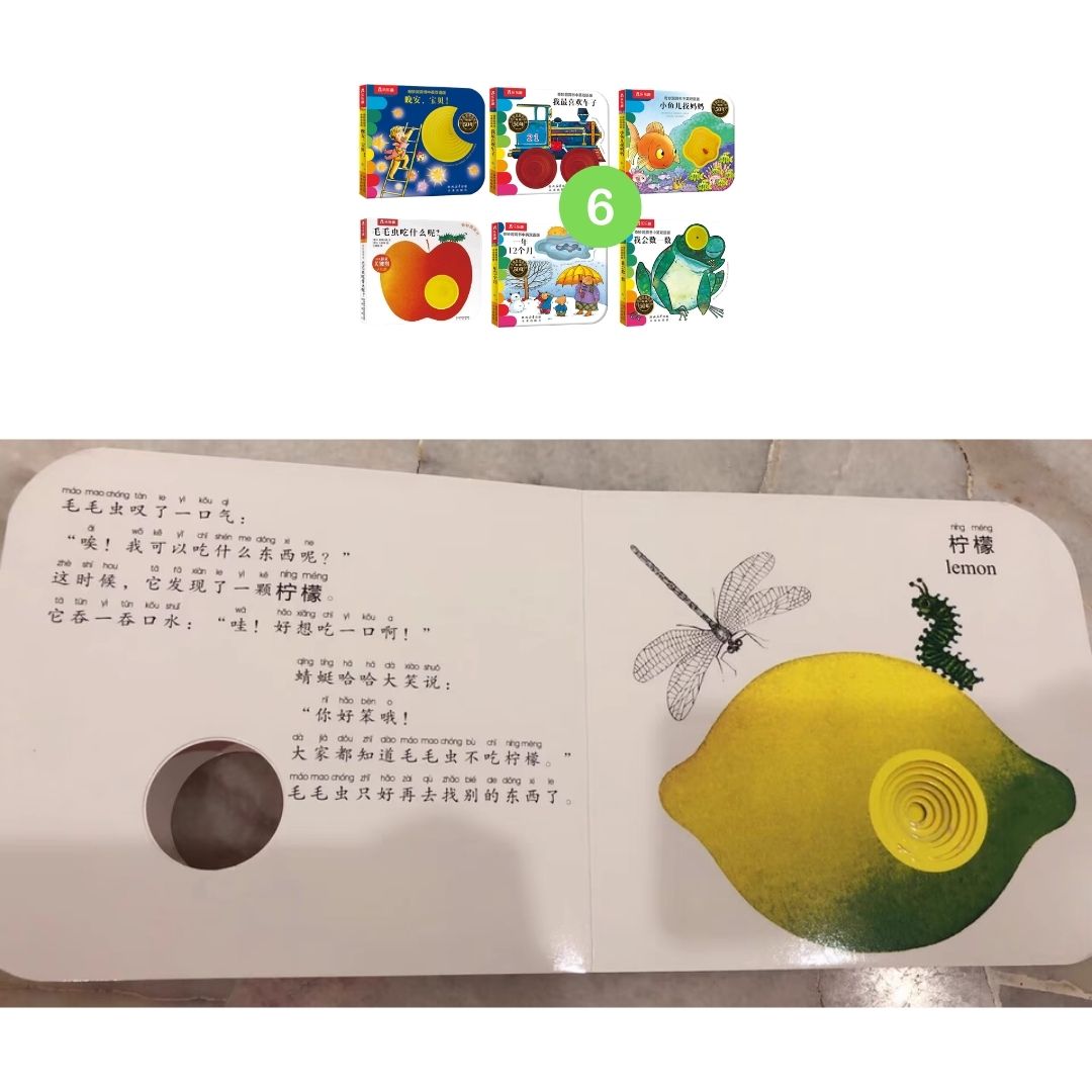 Montessori Early Learning Touch-and-Feel, Pull-Tab & Interactive Design, Sensory & Cognitive Development Picture Board Books for Babies and Toddlers (6 books) [Mandarin (Simplified Chinese Text) with Pinyin]