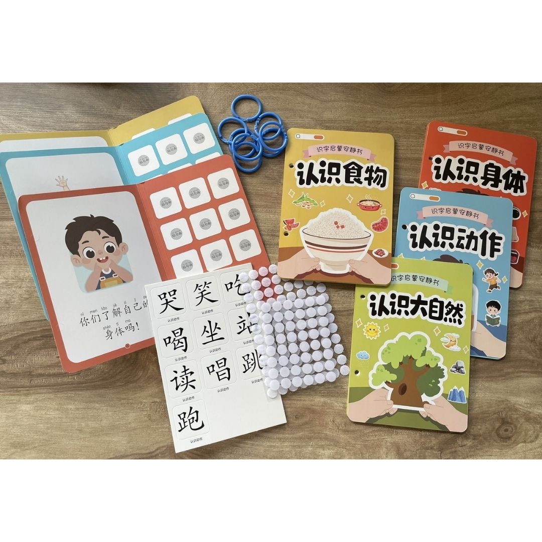 Chinese Quiet / Busy Book (4 pcs. ringbound busy books in 1 set) Numbers, Colors, Family, Animals, Food, Body, Action, Nature