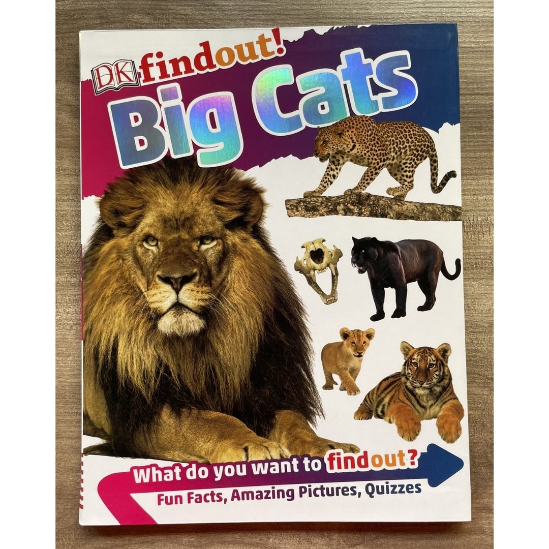 DK Findout! (SINGLES) Ancient Egypt Animals Big Cats Birds Castles Coding Energy Engineering Pirates Science Space Travel Universe Vikings Volcanoes