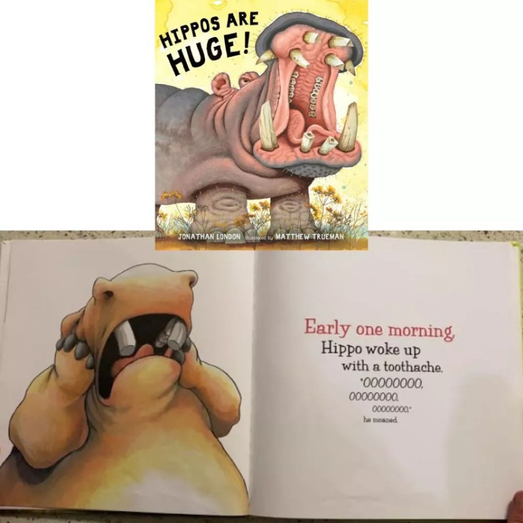 Storybooks Picture Flats (SINGLES, brand new SOFTCOVER) (Dinosaur Dog Mom Mommy Heart Love Unicorn Animals Caterpillar Snowflake Llamas Elmer Jungle Book PJ Masks Shy Helpful Strong Thankful Myths Legends Fairy Tale Bedtime Story Stories Storybook)