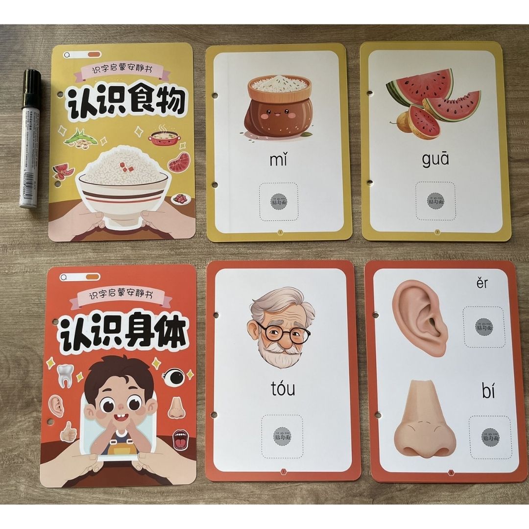 Chinese Quiet / Busy Book (4 pcs. ringbound busy books in 1 set) Numbers, Colors, Family, Animals, Food, Body, Action, Nature