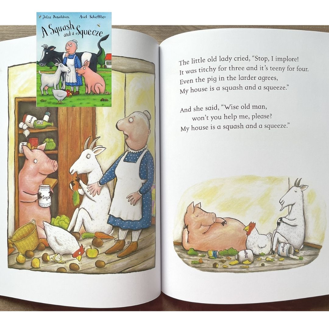 Julia Donaldson Set of 10 Books (NO BOX - Brand new softcover - sold as set of 10 books) - Gruffalo, Room on the Broom, Charlie Cook, Smartest Giant in Town, A Squash and a Squeeze
