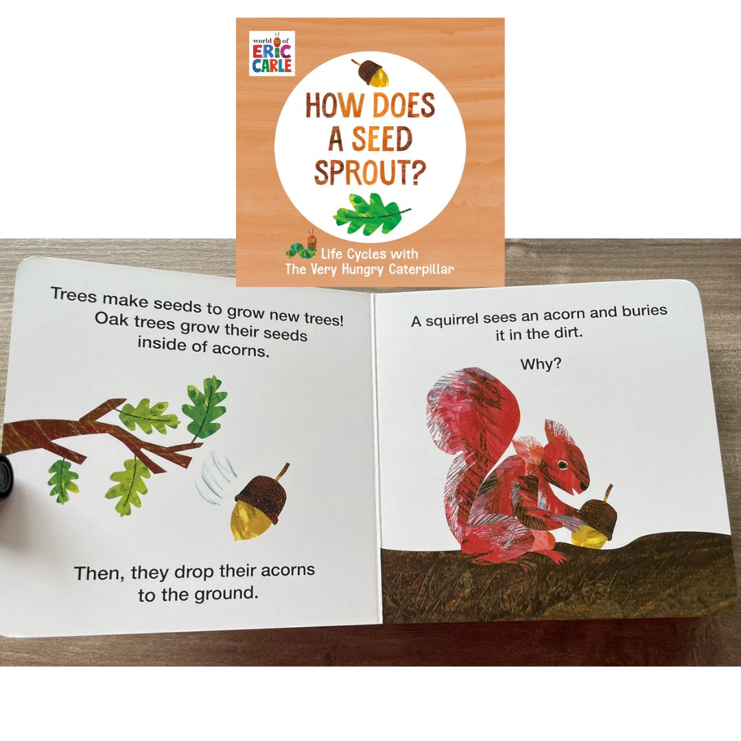World of Eric Carle: Life Cycles with The Very Hungry Caterpillar (SINGLES, brand new Board Book, with SLIGHT DENTS on book cover) (How Does a Caterpillar Change / How Does an Egg Hatch / How Does a Tadpole Grow / How Does a Seed Sprout)