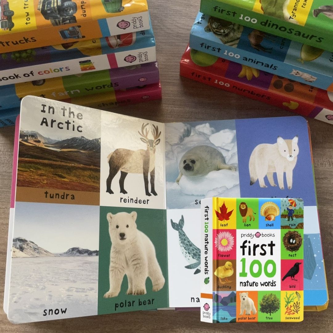 Priddy's First 100 Series (Singles, MINI board book)