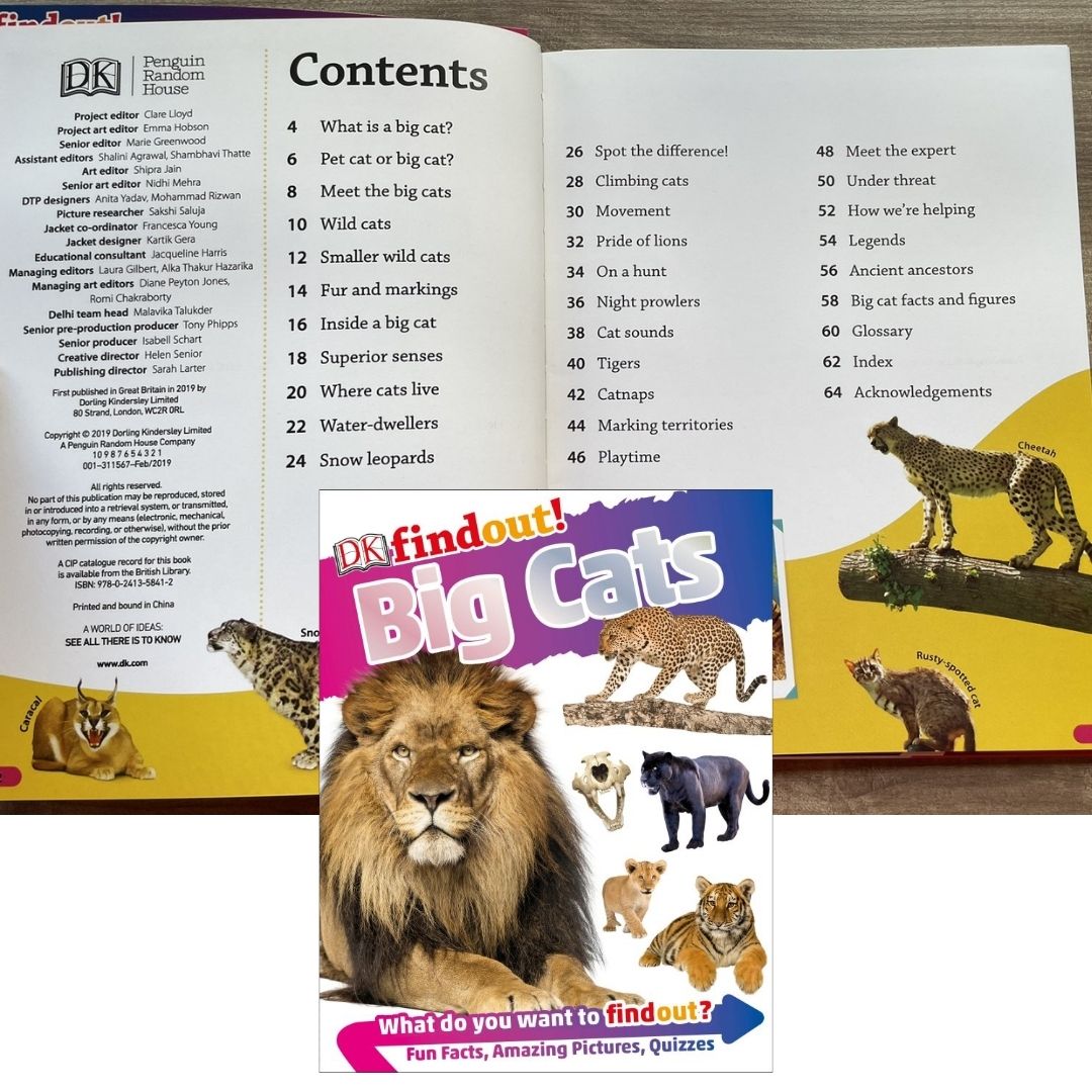 DK Findout! (SINGLES) Ancient Egypt Animals Big Cats Birds Castles Coding Energy Engineering Pirates Science Space Travel Universe Vikings Volcanoes