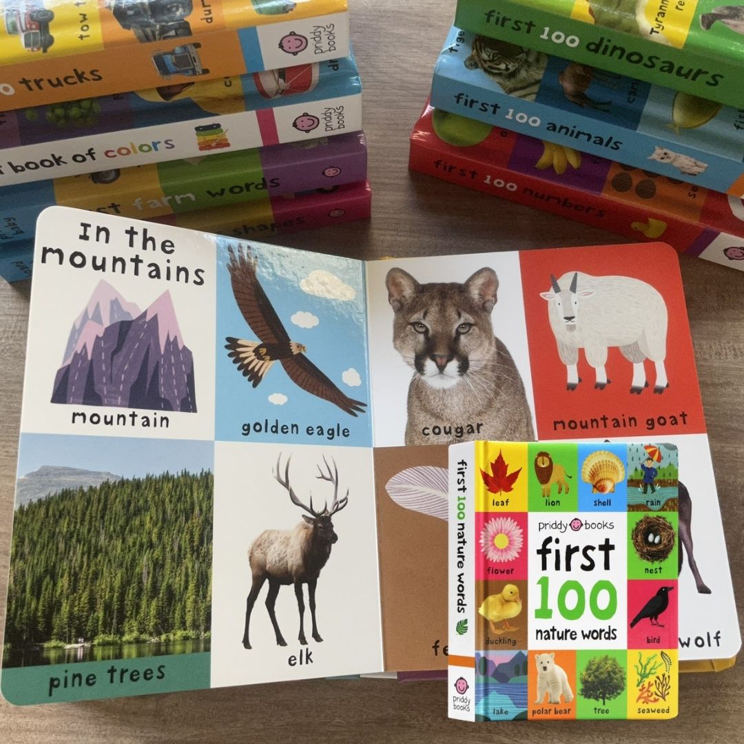 Priddy's First 100 Series (Singles, MINI board book)
