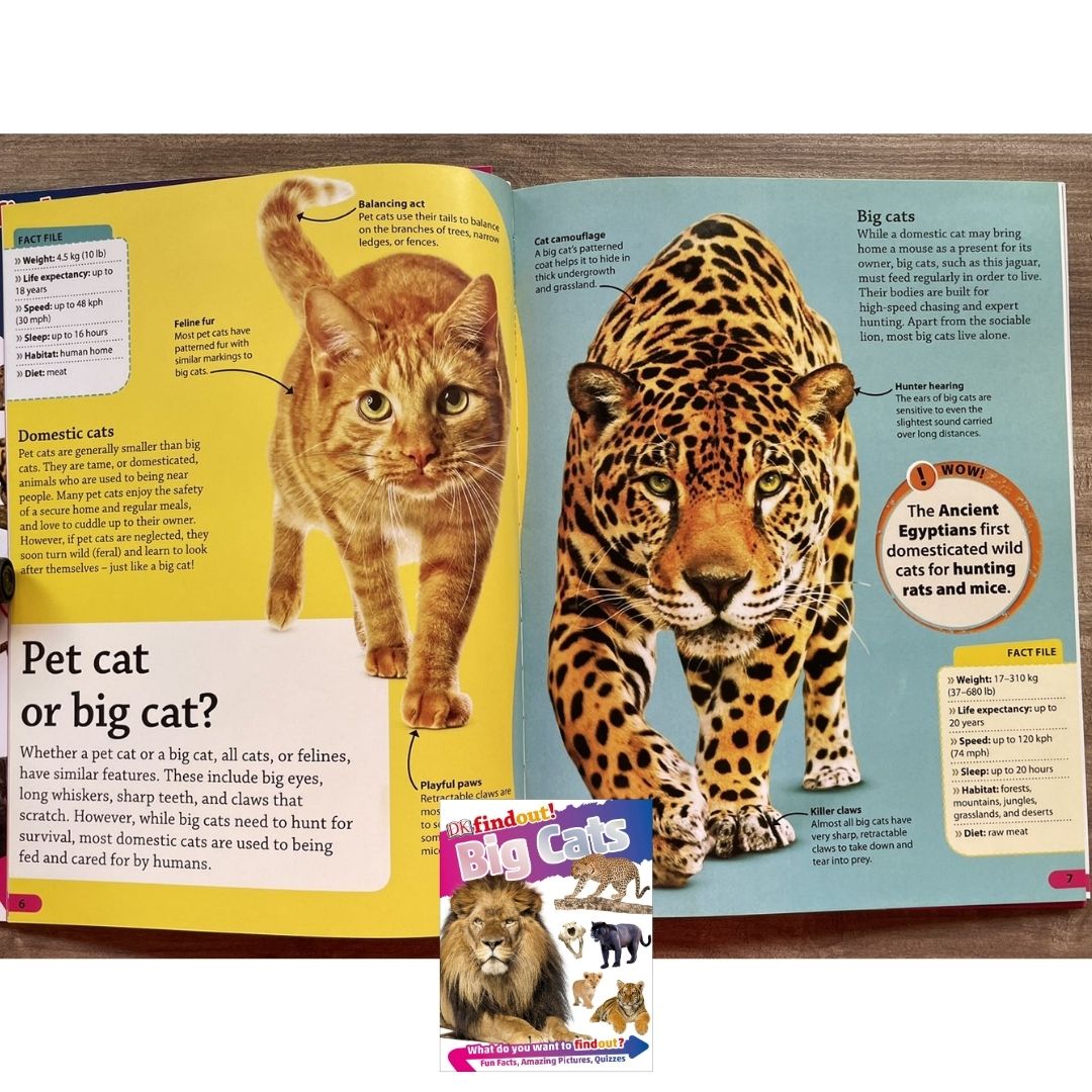DK Findout! (SINGLES) Ancient Egypt Animals Big Cats Birds Castles Coding Energy Engineering Pirates Science Space Travel Universe Vikings Volcanoes