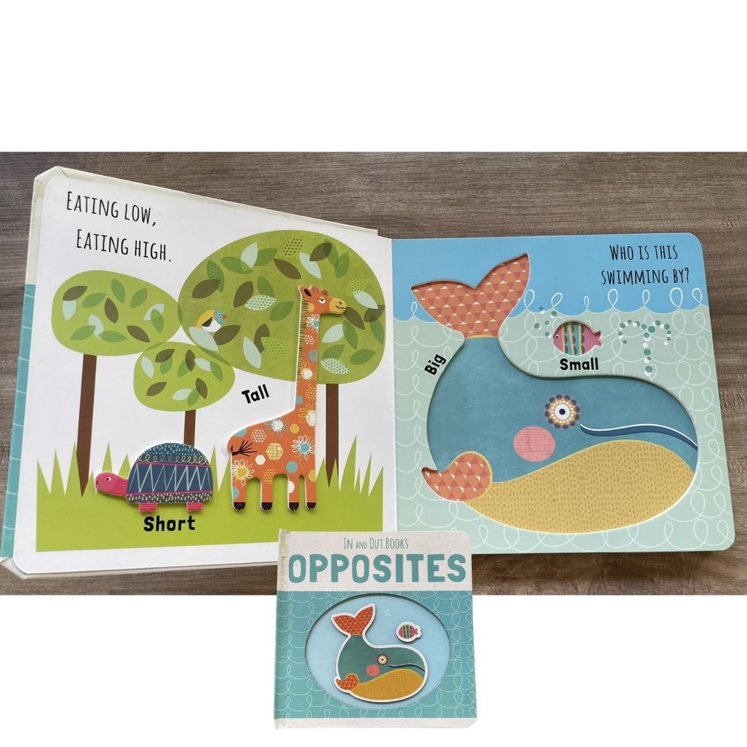IN and OUT Board Books (SINGLES) Colors / Numbers / Opposites / Shapes (brand new, with SLIGHT DENTS on book cover)