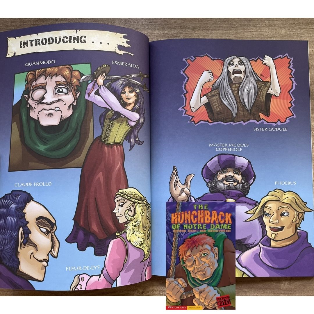 Classic Fiction Graphic Novel (SINGLES) (Alice in Wonderland / Gulliver's Travels / The Hunchback of Notre Dame / The Wizard of Oz) brand new softcover, with SLIGHT TEARS/DENTS/FOLDS on book cover