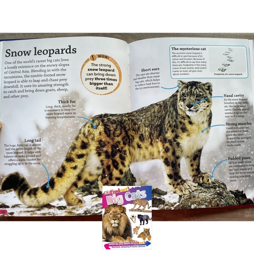 DK Findout! (SINGLES) Ancient Egypt Animals Big Cats Birds Castles Coding Energy Engineering Pirates Science Space Travel Universe Vikings Volcanoes