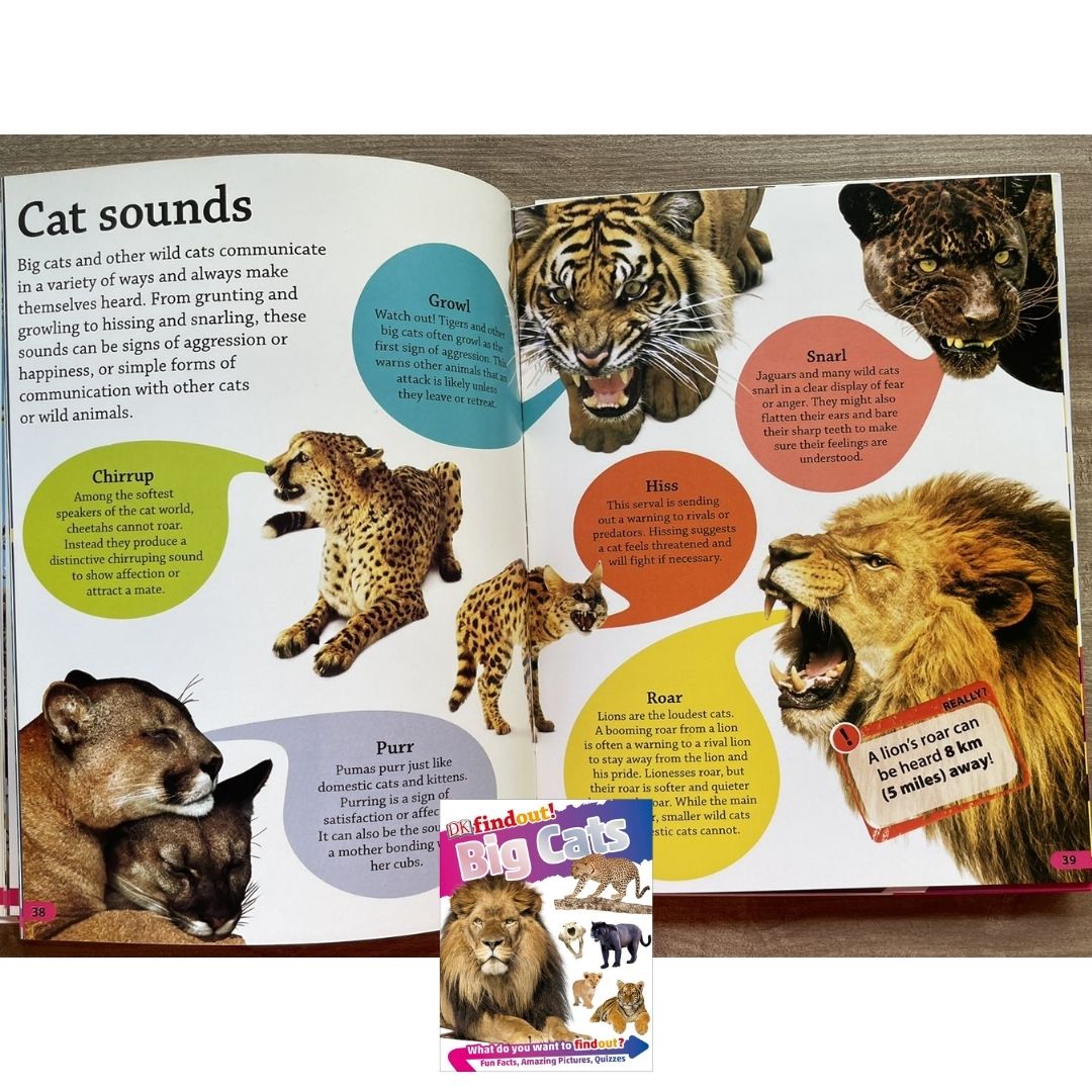 DK Findout! (SINGLES) Ancient Egypt Animals Big Cats Birds Castles Coding Energy Engineering Pirates Science Space Travel Universe Vikings Volcanoes