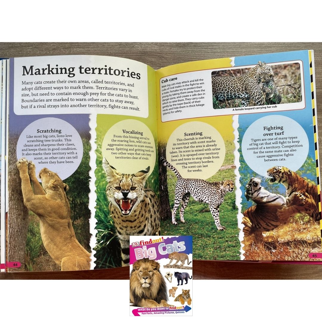DK Findout! (SINGLES) Ancient Egypt Animals Big Cats Birds Castles Coding Energy Engineering Pirates Science Space Travel Universe Vikings Volcanoes