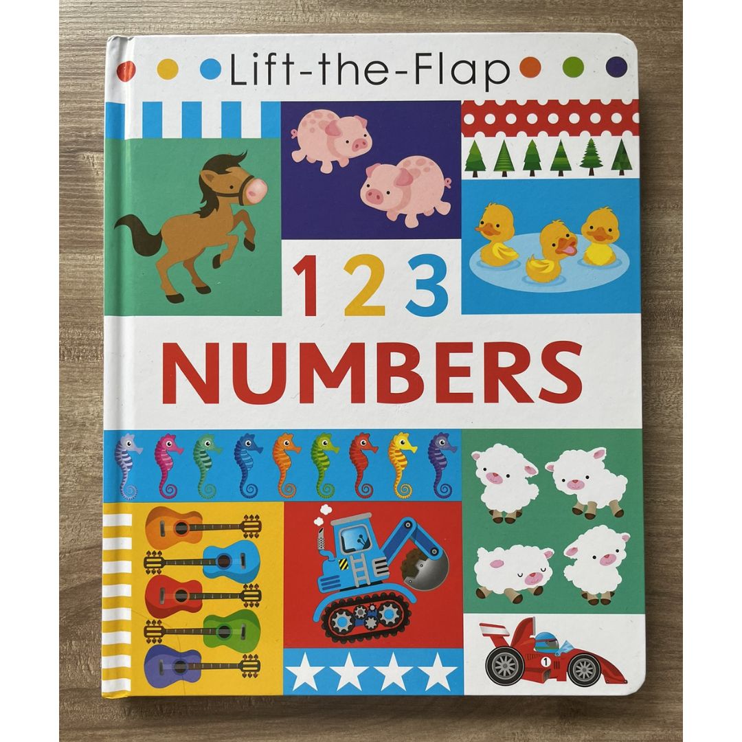 Lift-the-flap 123 NUMBERS Activity Book (brand new Hardcover, with SLIGHT DENTS on book cover)