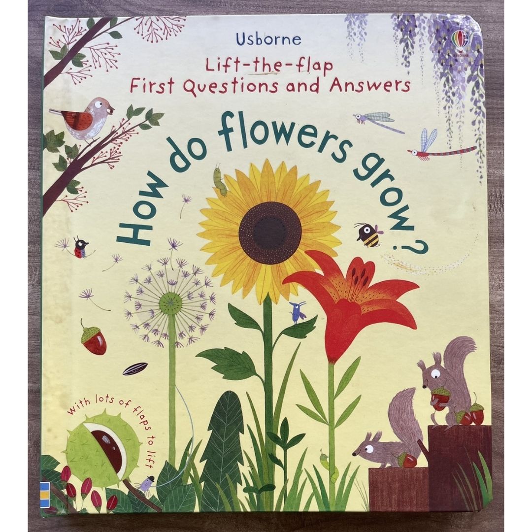 Usborne Lift-the-flap First Questions and Answers: HOW DO FLOWERS GROW? (brand new board book)