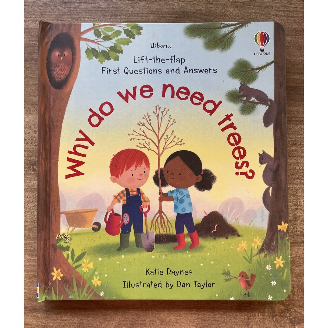 Usborne Lift-the-flap FIRST Questions and Answers (SINGLES, Board Book) How Do Flowers Grow / What is a Virus / What's It Like in Space / Why are there Wars / Why Do We Need Bees / Why Do We Need Trees / Why is it Dark at Night