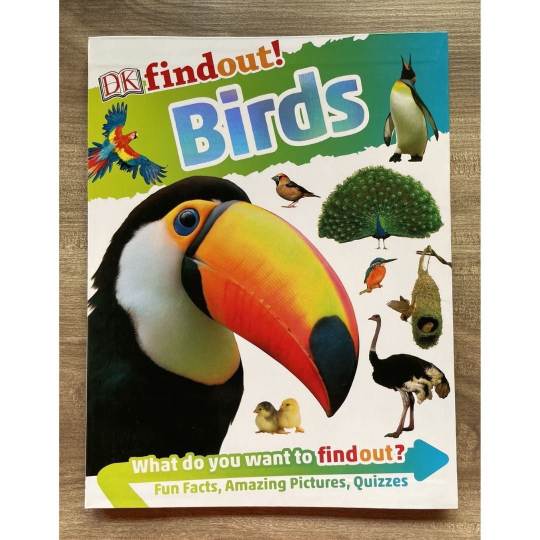 DK Findout! (SINGLES) Ancient Egypt Animals Big Cats Birds Castles Coding Energy Engineering Pirates Science Space Travel Universe Vikings Volcanoes