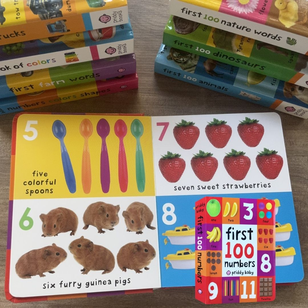 Priddy's First 100 Series (Singles, MINI board book)