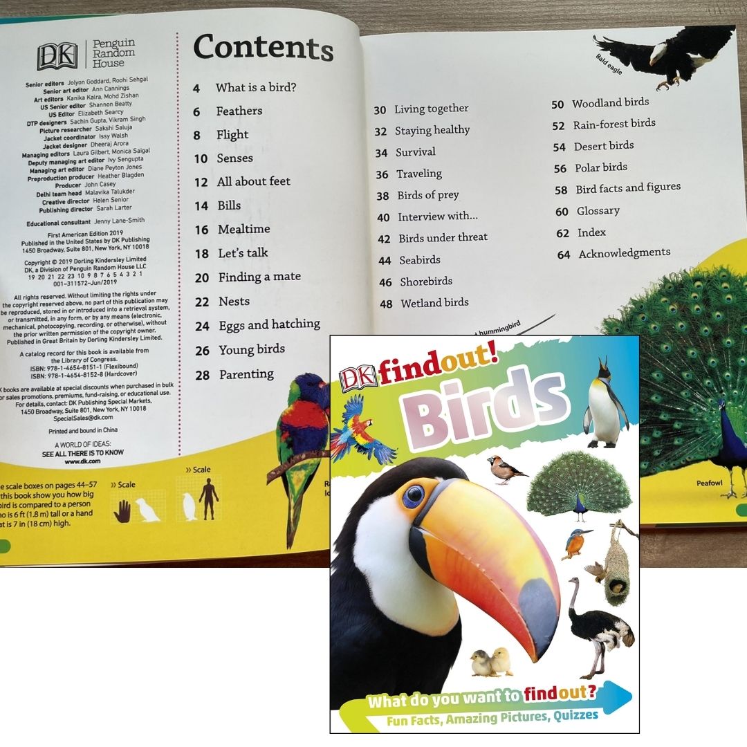 DK Findout! (SINGLES) Ancient Egypt Animals Big Cats Birds Castles Coding Energy Engineering Pirates Science Space Travel Universe Vikings Volcanoes