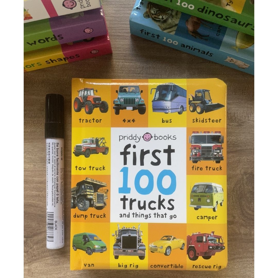 Priddy's First 100 Series (Singles, MINI board book)