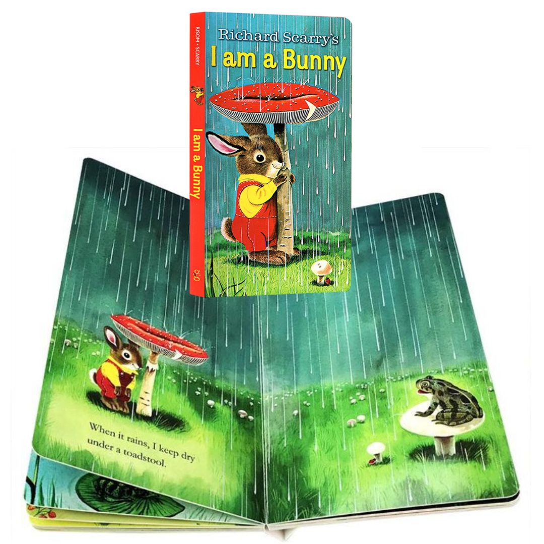 Eric Carle and other bestseller (BOARD BOOKS) singles, brand new - Baby Bear / Brown Bear / Panda Bear / Polar Bear / Dear Zoo / From Head to Toe/ Good Night Moon / Guess How Much I Love You / I am a Bunny / Today is Monday / The Very Hungry Caterpillar