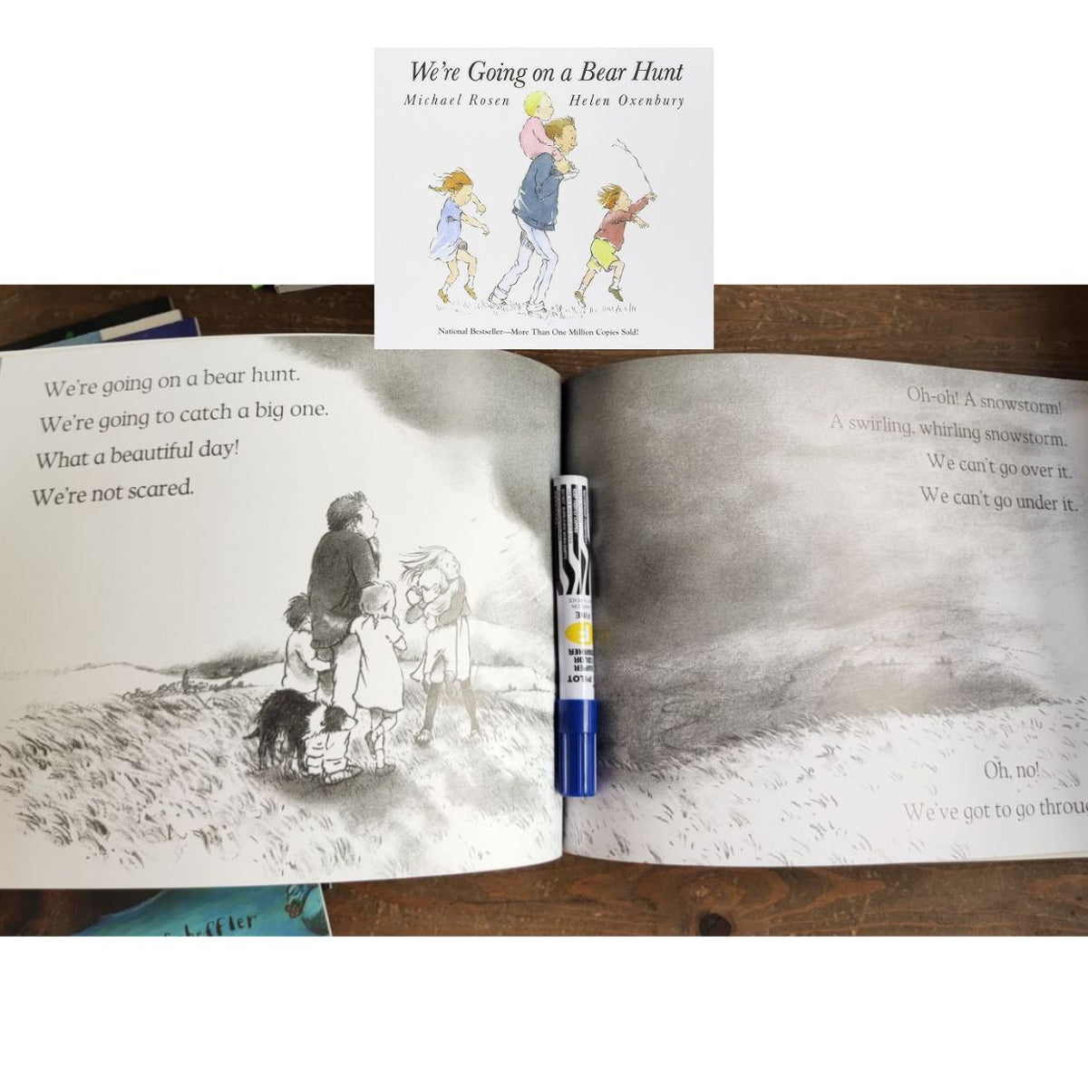 We're Going on a Bear Hunt (softcover)
