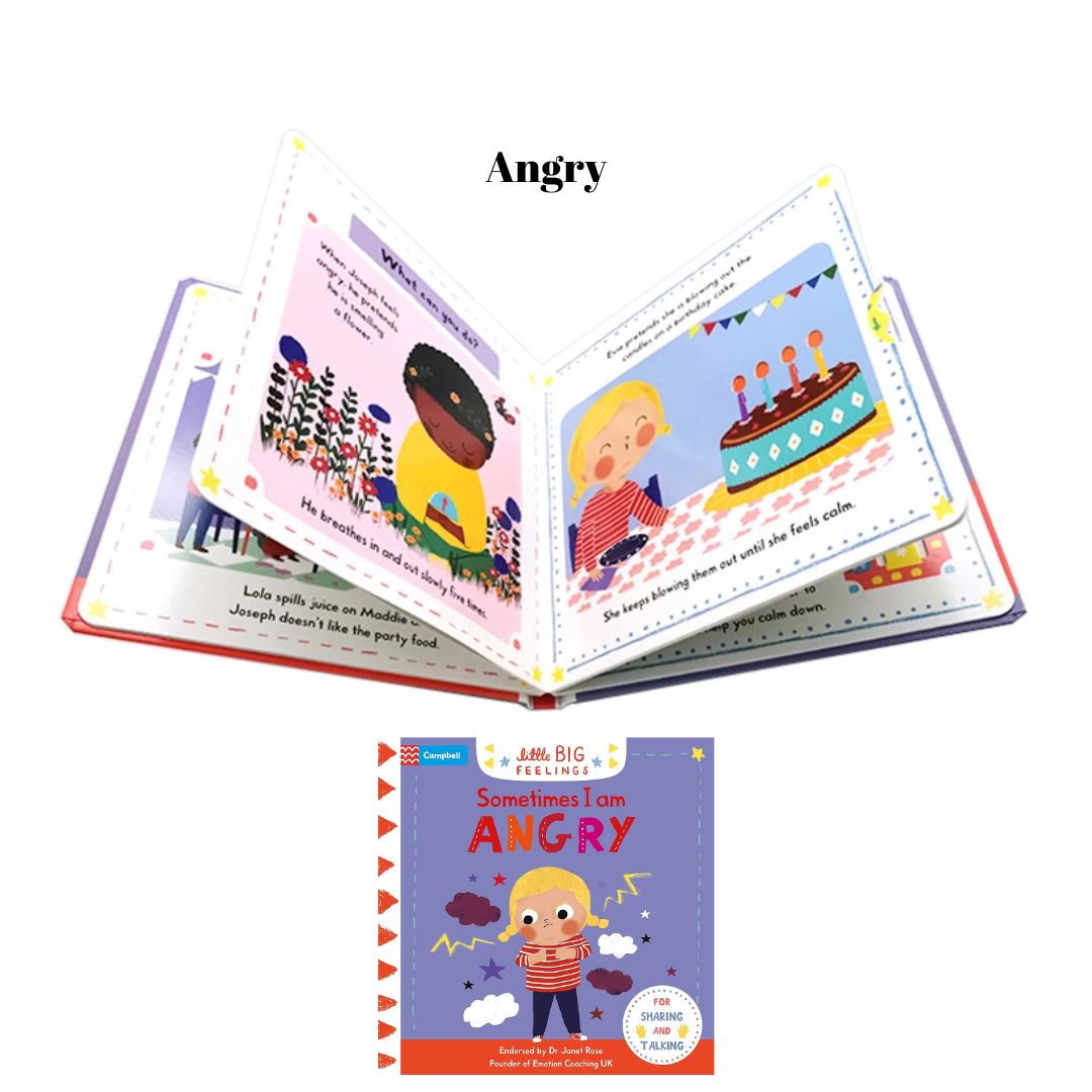 LITTLE BIG FEELINGS (retail / singles) board book - brand new, with SLIGHT DENTS on book cover (Happy / Angry / Worried / Sorry / Patient / Kind / Helpful)