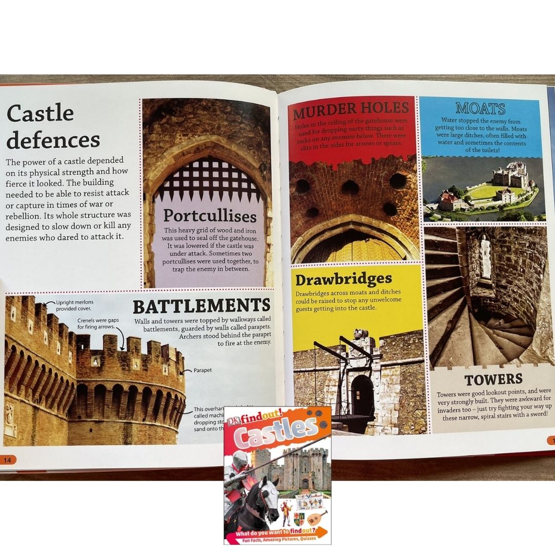 DK Findout! (SINGLES) Ancient Egypt Animals Big Cats Birds Castles Coding Energy Engineering Pirates Science Space Travel Universe Vikings Volcanoes