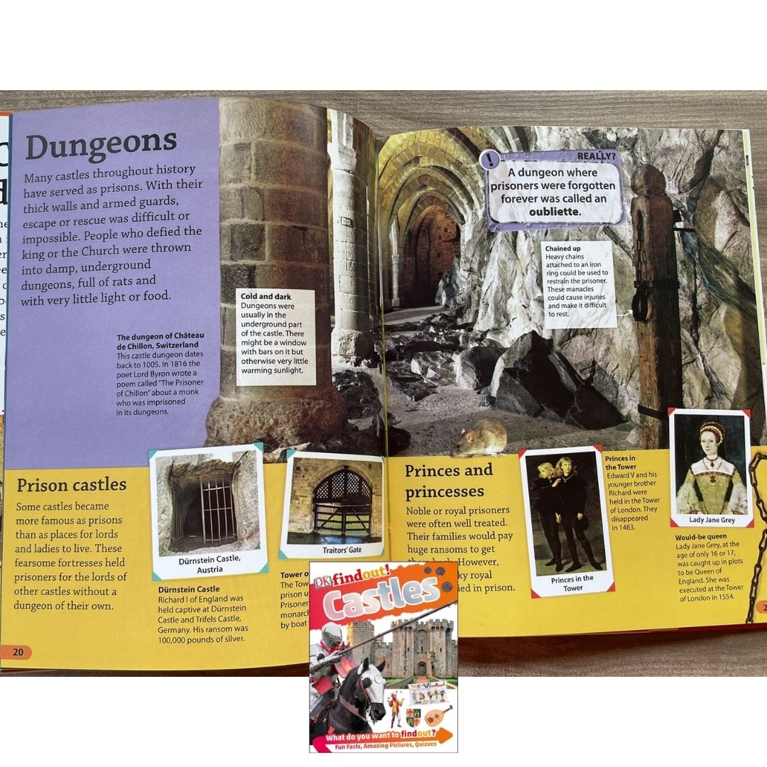 DK Findout! (SINGLES) Ancient Egypt Animals Big Cats Birds Castles Coding Energy Engineering Pirates Science Space Travel Universe Vikings Volcanoes