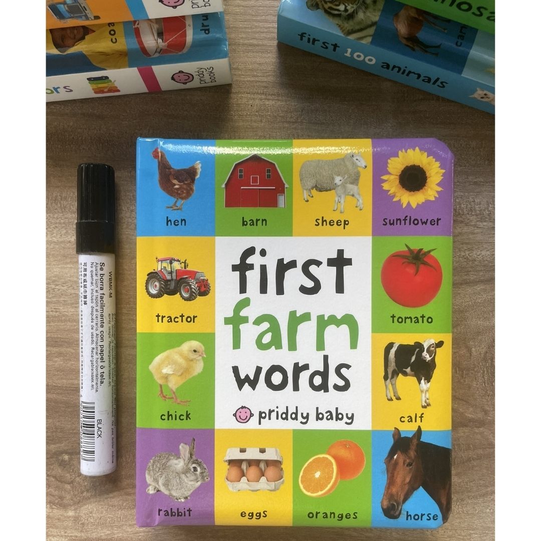 Priddy's First 100 Series (Singles, MINI board book)