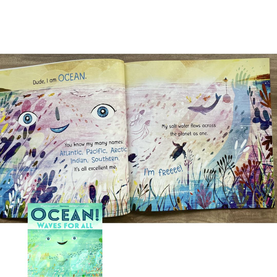 Sun / Earth / Moon / Ocean / Mars / Our Planet (OUR UNIVERSE by Stacy Mcanulty) SINGLES, brand new softcover