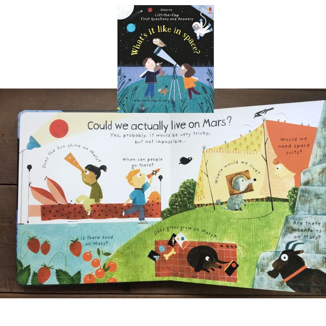 Usborne WHAT IS IT LIKE IN SPACE? (Lift-the-flap First Questions and Answers) BOARD BOOK