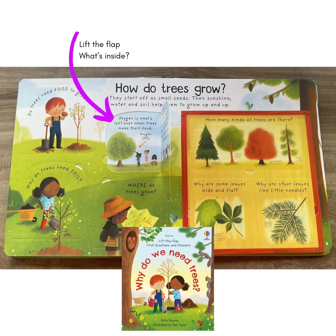 Usborne Lift-the-flap FIRST Questions and Answers (SINGLES, Board Book) How Do Flowers Grow / What is a Virus / What's It Like in Space / Why are there Wars / Why Do We Need Bees / Why Do We Need Trees / Why is it Dark at Night
