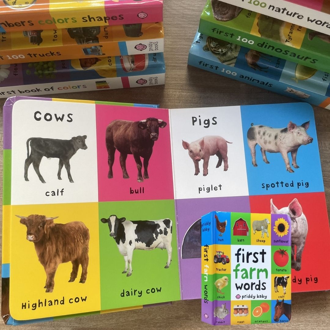 Priddy's First 100 Series (Singles, MINI board book)