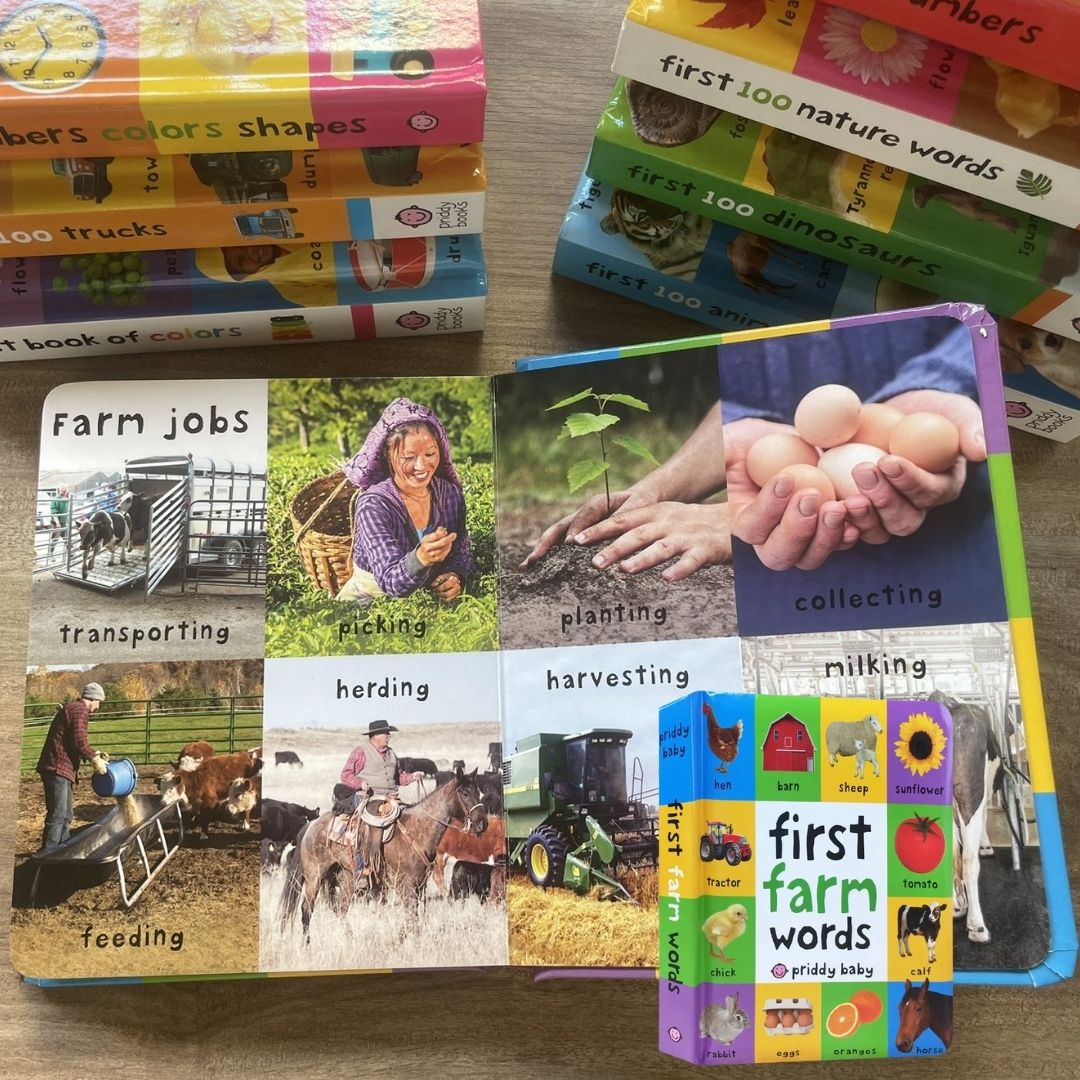 Priddy's First 100 Series (Singles, MINI board book)