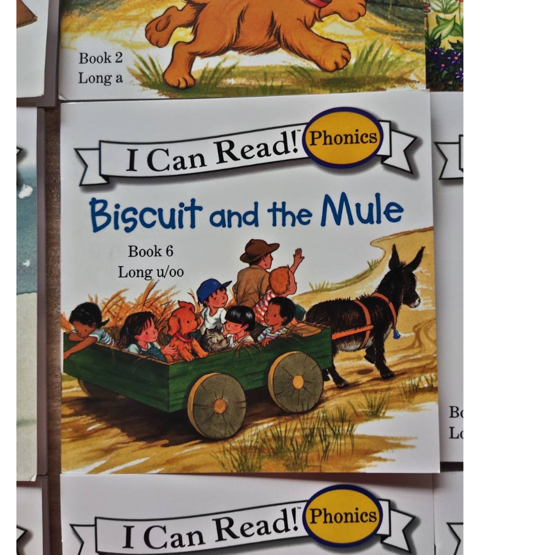Biscuit I Can Read Phonics (24 books) Mini books, 5 by 5 inches, NO BOX