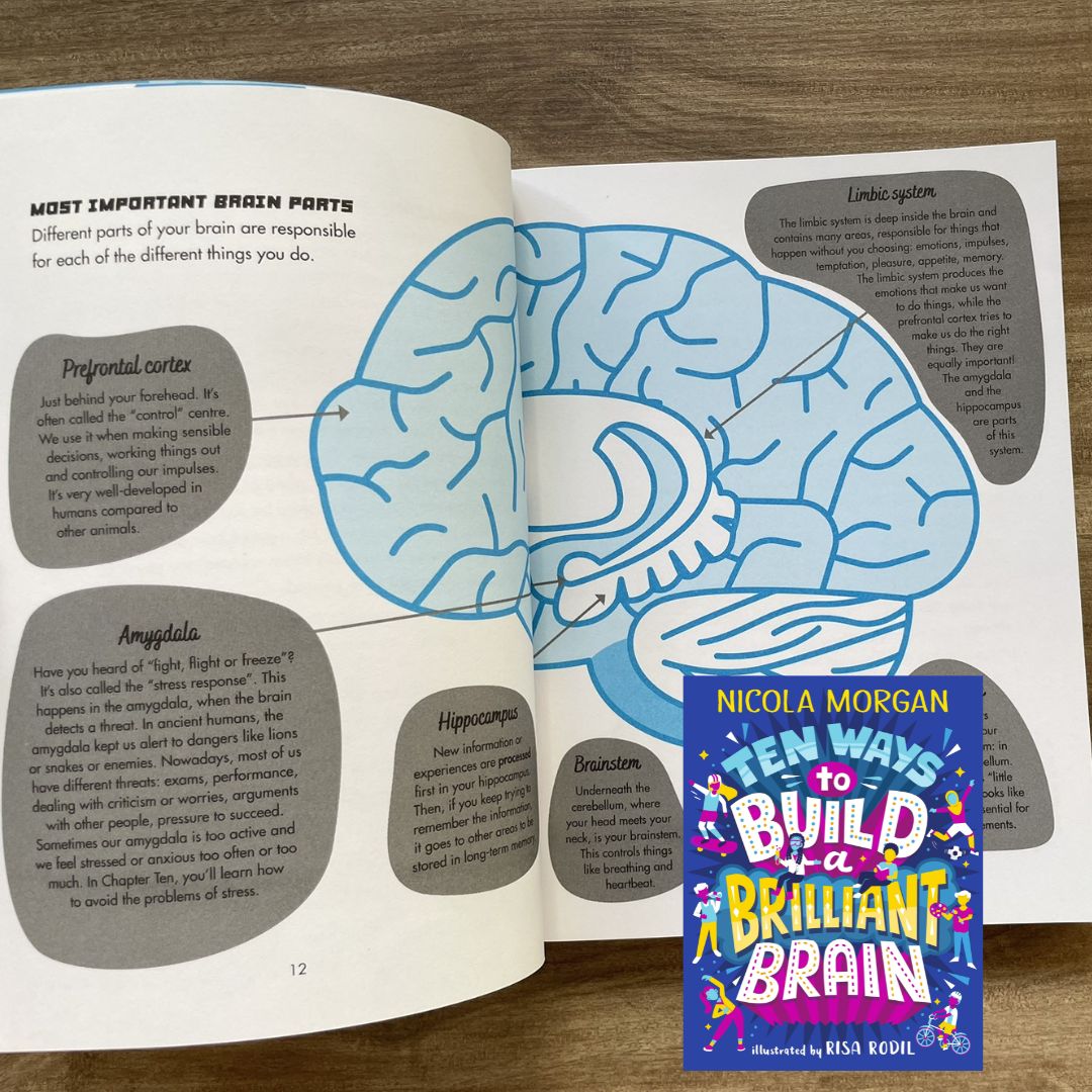 Ten Ways to Build a Brilliant Brain (brand new softcover)