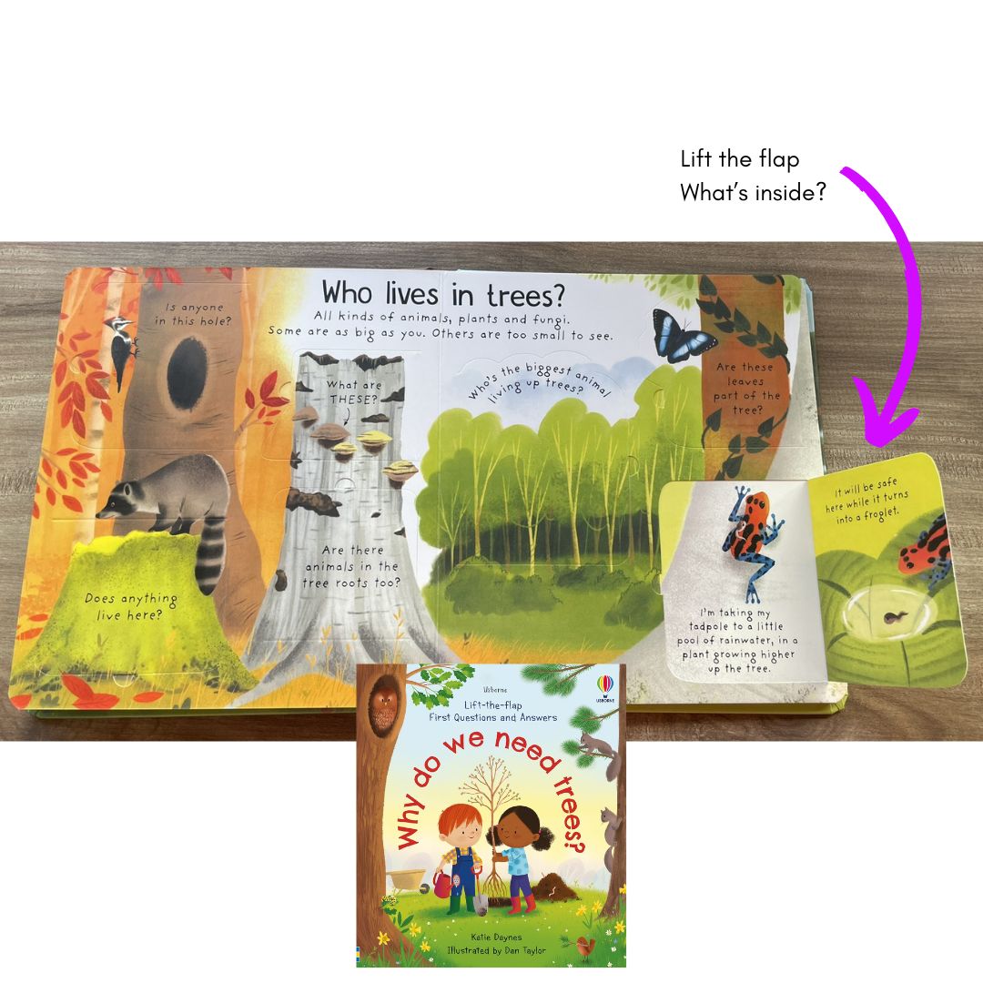 Usborne Lift-the-flap FIRST Questions and Answers (SINGLES, Board Book) How Do Flowers Grow / What is a Virus / What's It Like in Space / Why are there Wars / Why Do We Need Bees / Why Do We Need Trees / Why is it Dark at Night