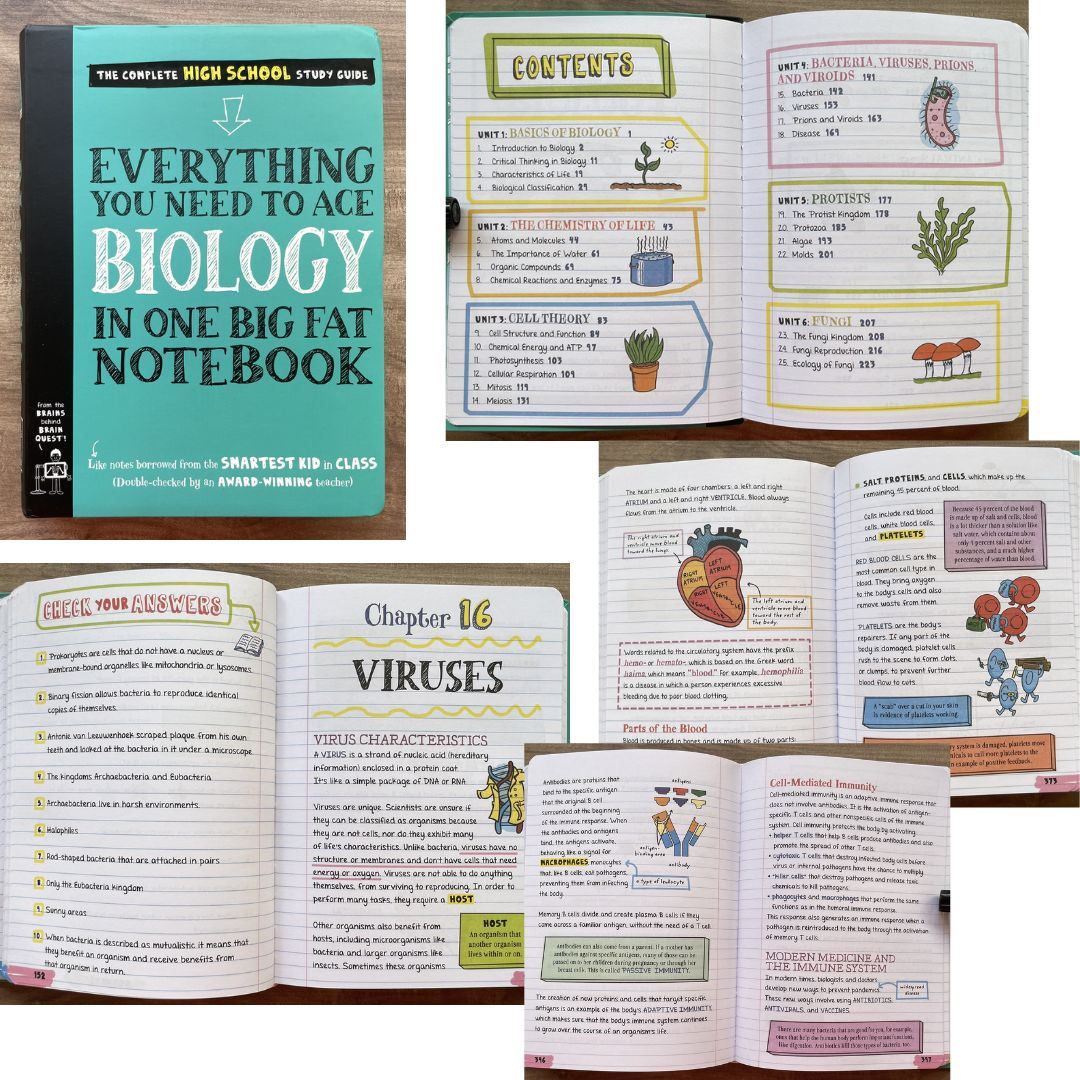 Everything You Need to Ace in One Big Fat Notebook: The Complete Middle School Study Guide (SINGLES) brand new Softcover - Biology/ Chemistry/ Computer Science & Coding/ English Language Arts/ Geometry/ World History/ Math/ Pre-Algebra & Algebra/ Science
