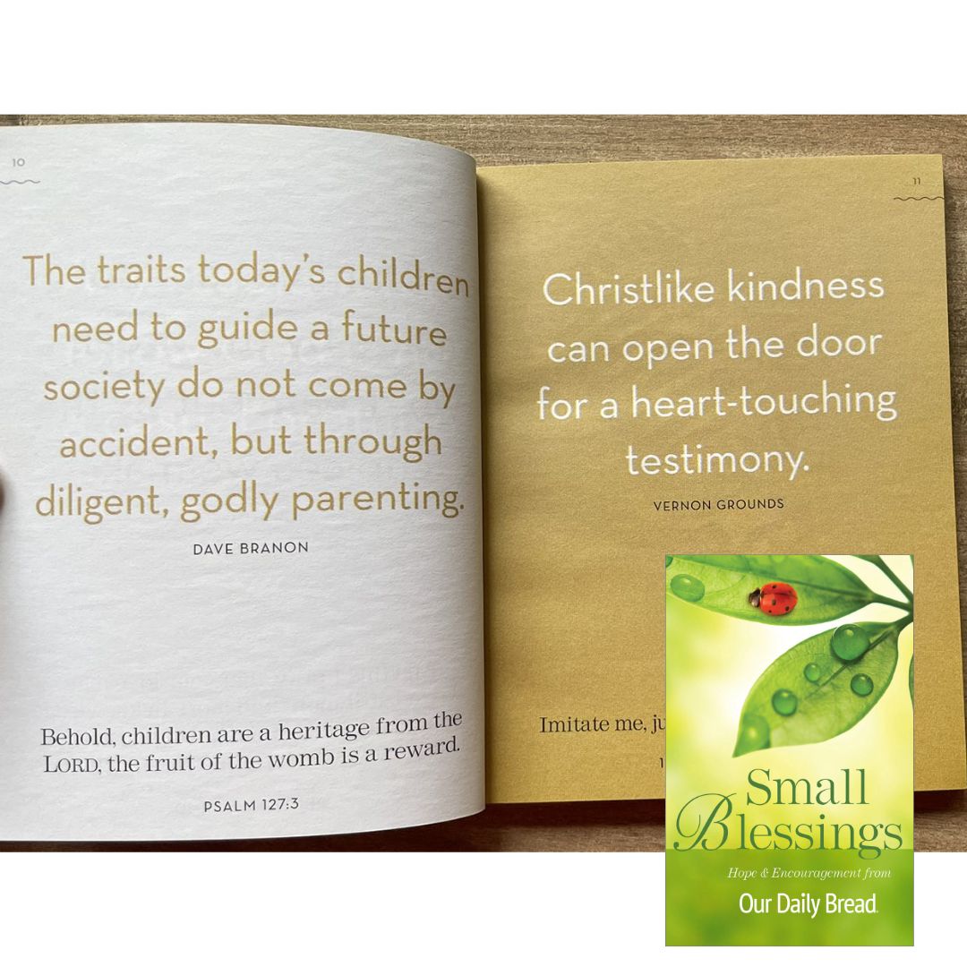 SMALL BLESSINGS Hope and Encouragement from Our Daily Bread (brand new Softcover)
