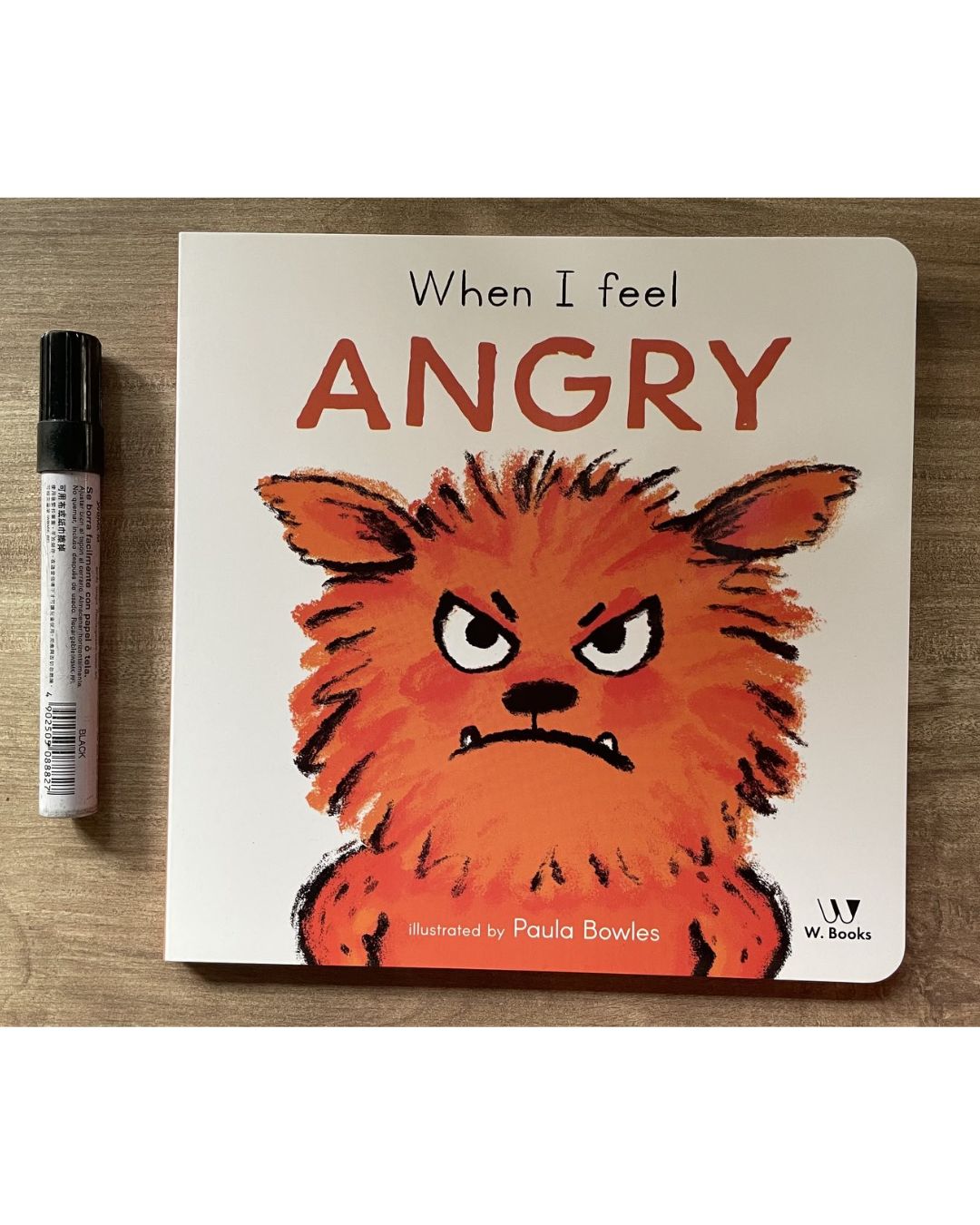 WHEN I FEEL Angry Happy Loved Sad Scared Surprised // WHEN I AM Brave Calm Creative Curious Kind Playful (First Behaviors) (6 Board Books) brand new, no box