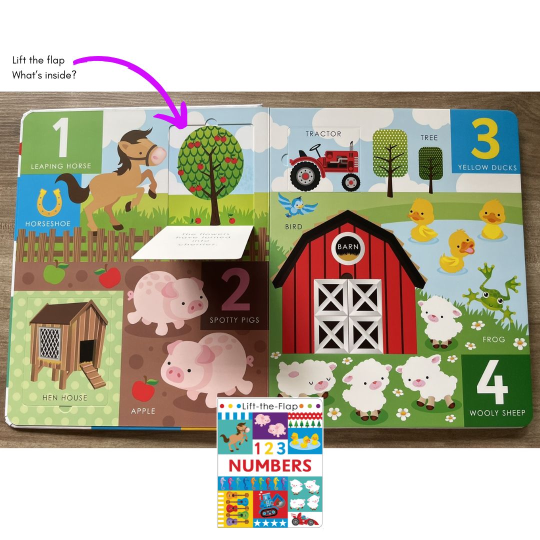 Lift-the-flap 123 NUMBERS Activity Book (brand new Hardcover, with SLIGHT DENTS on book cover)